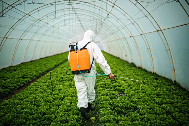 Best Affordable Pest Control Services  in Merrillville, IN