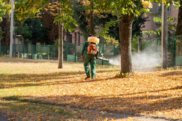 Best Cockroach Control Services  in Merrillville, IN