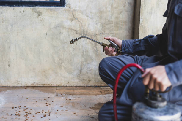 Best Pest Prevention Services  in Merrillville, IN